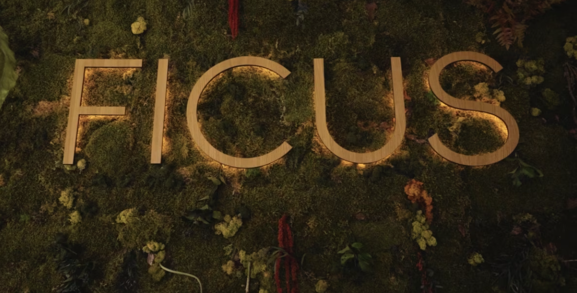 Ficus Commercial Series